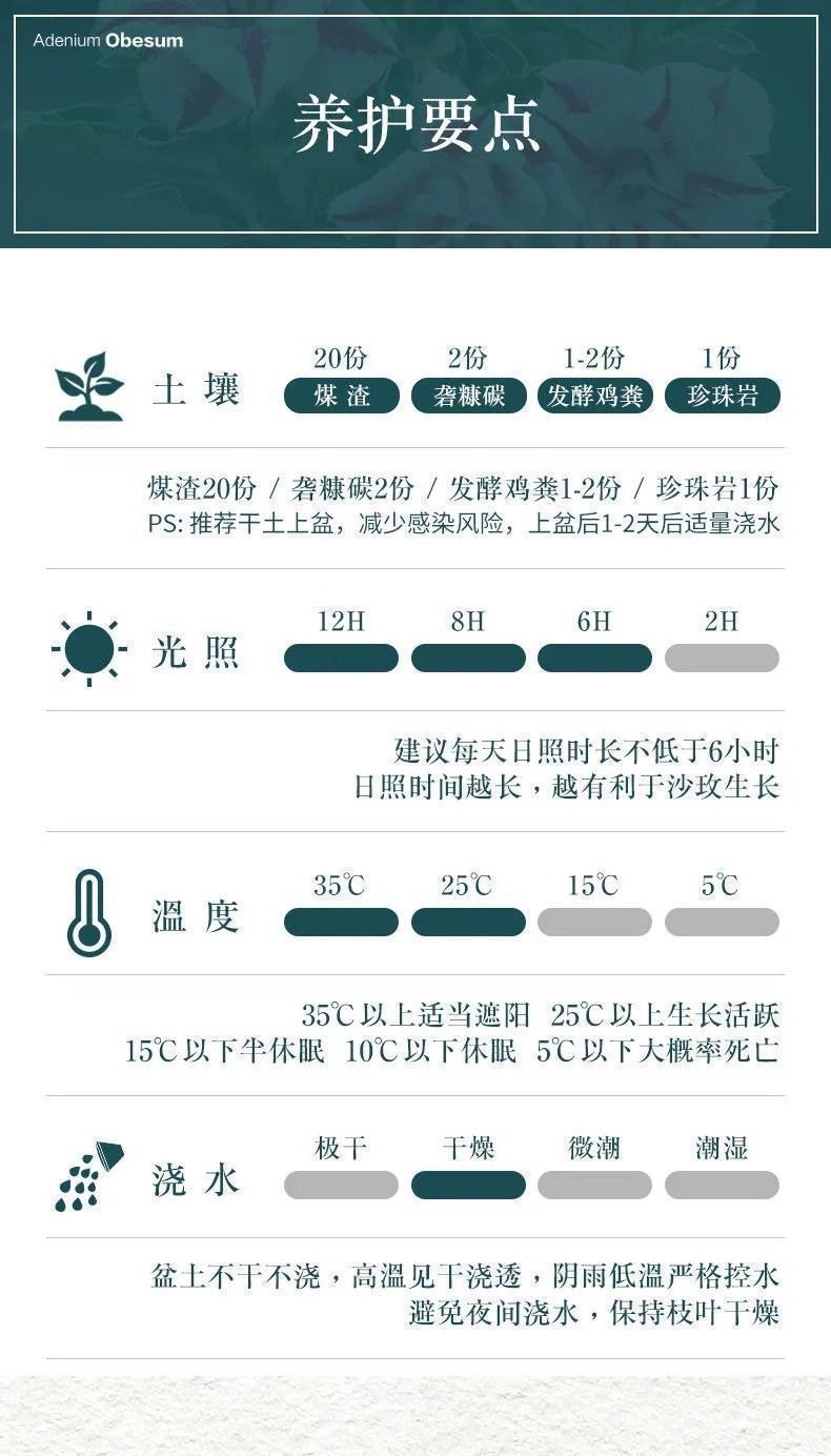 3b45c52e-3224-49a3-8d58-785cc694c1d4.jpe