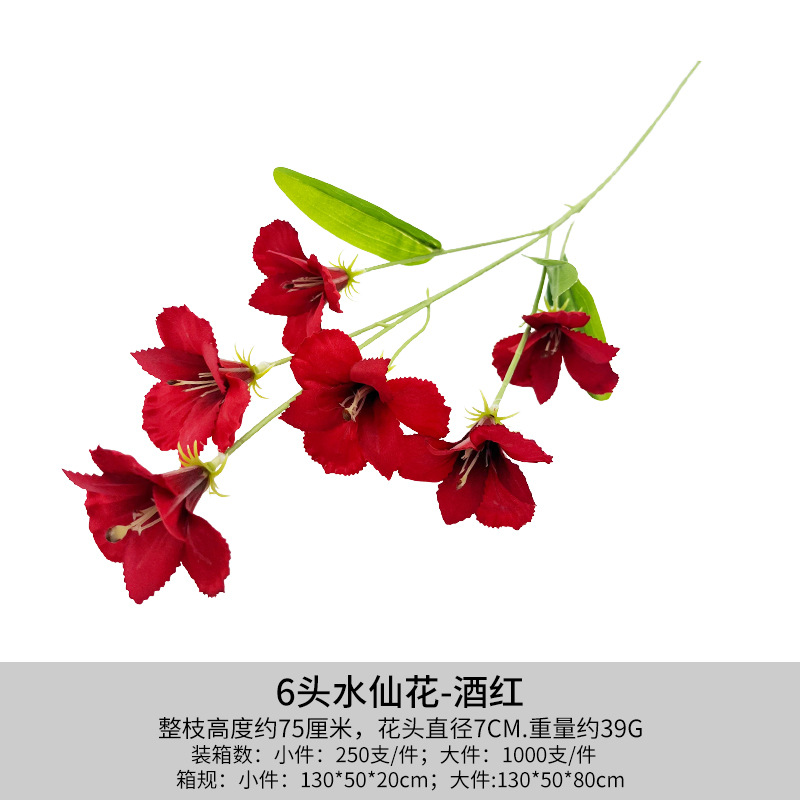 와인 레드