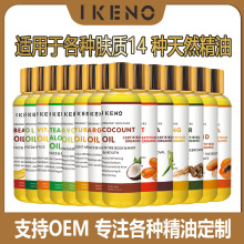 �羳IKENO�^�l�o�l�沿��Ħ�������w��Ħ�;��A�������B�w����