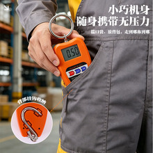 跨境高精度工业吊钩秤小型多单位按钮式电子秤仓库便携通用手提秤