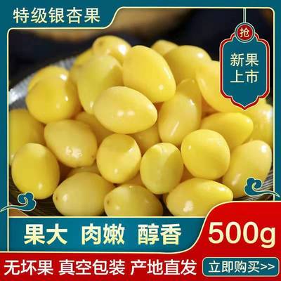 Happy Nut 5 fresh vacuum Ginkgo 500g Ginkgo fruit Fresh keeping Ginkgo Shelled White nuts