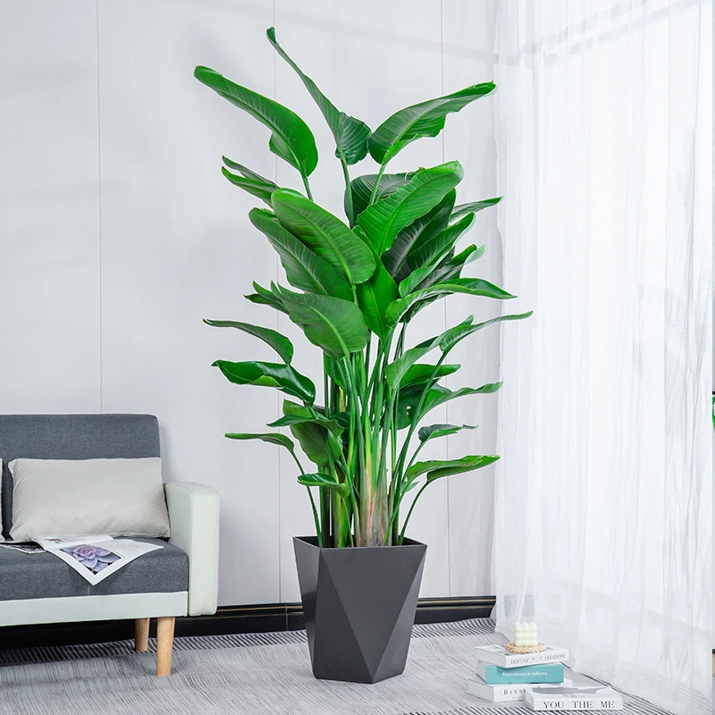 Райская птица в горшке Большие комнатные растения Хорошо подходят для подъема крана Орхидея Офис Гостиная Fortune Tree Net Красное зеленое растение поглощает формальдегид