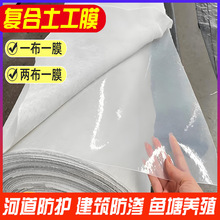 复合土工膜抗拉耐老化防渗膜鱼塘蓄水池河道防水护坡批发pe黑膜