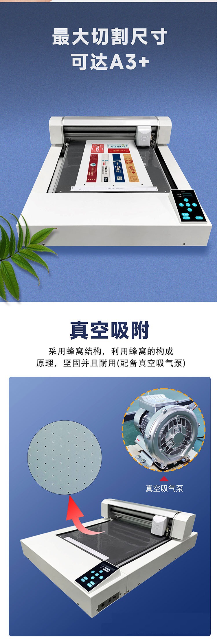 O1CN01FxL4qD1kplMWQsN2o_!!2211