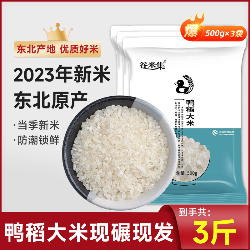 동북둥근오리쌀 - 1.5kg - 향이 좋고 밥이나 죽으로 먹을 수 있음