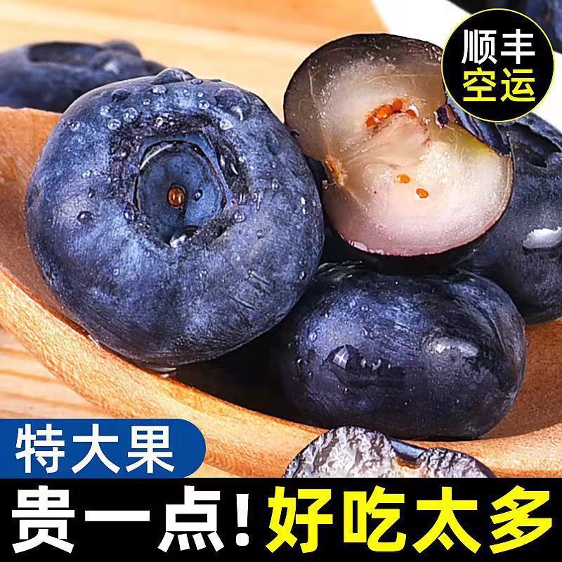 现摘现发特大蓝莓鲜果蓝莓辅食新鲜水果批发整箱