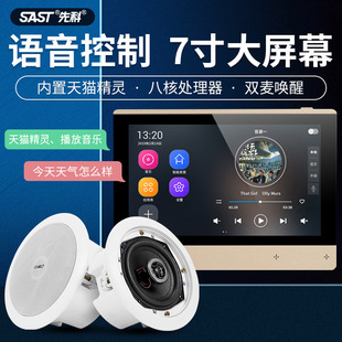 Schenko background music host ceiling sound embedded home whole house controller system home smart home