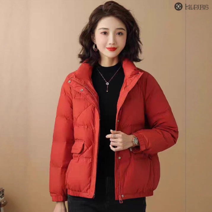 Invierno nuevo cuello vertical chaqueta de plumón mujer abrigo abrigo abrigo corto suelto stock