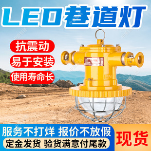 DGS100/36L(B)������LED������ܺĵ� ʹ�É����L������LED�����