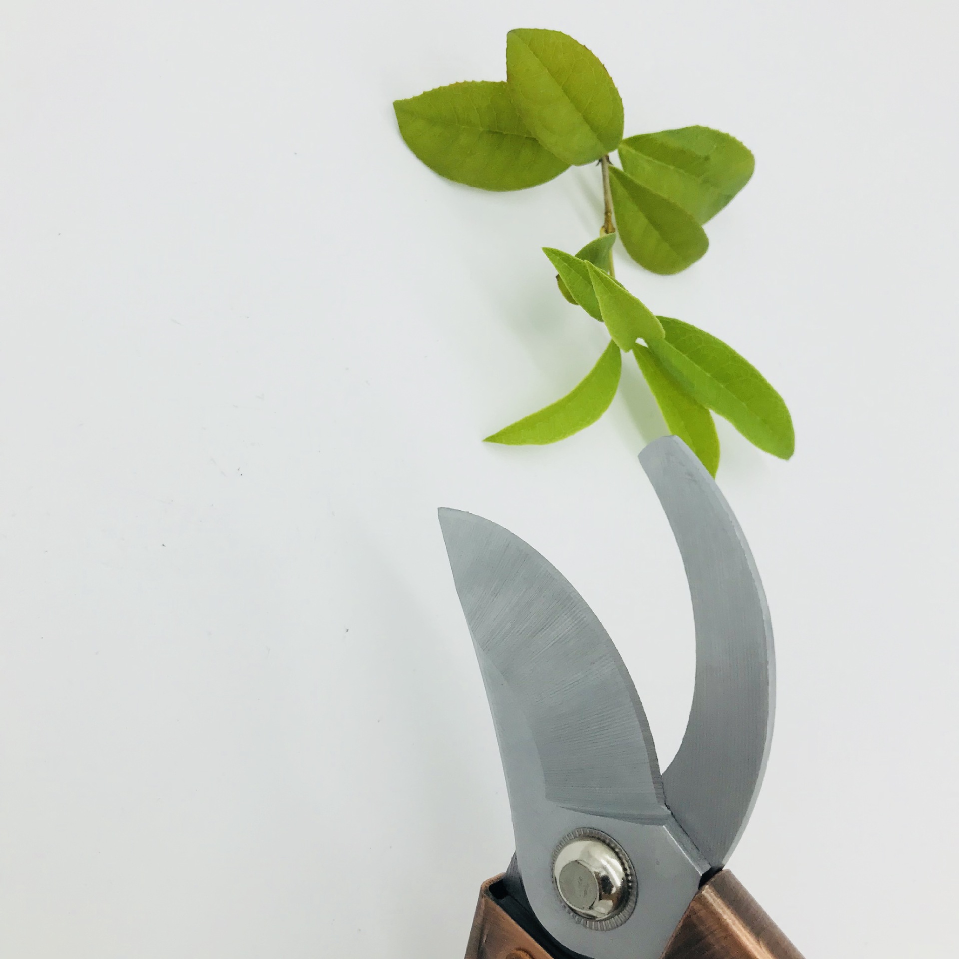 高品质锌铝合金不锈钢刀头树枝剪刀家用修枝剪刀花园剪刀