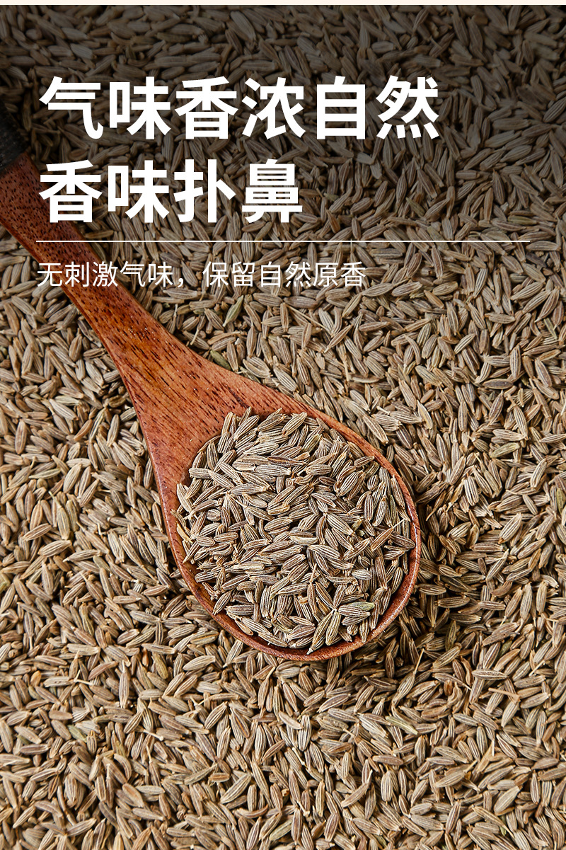Cumin Seeds (Cuminum cyminum) — Dried Whole Spice for BBQ & Culinary Blends in use