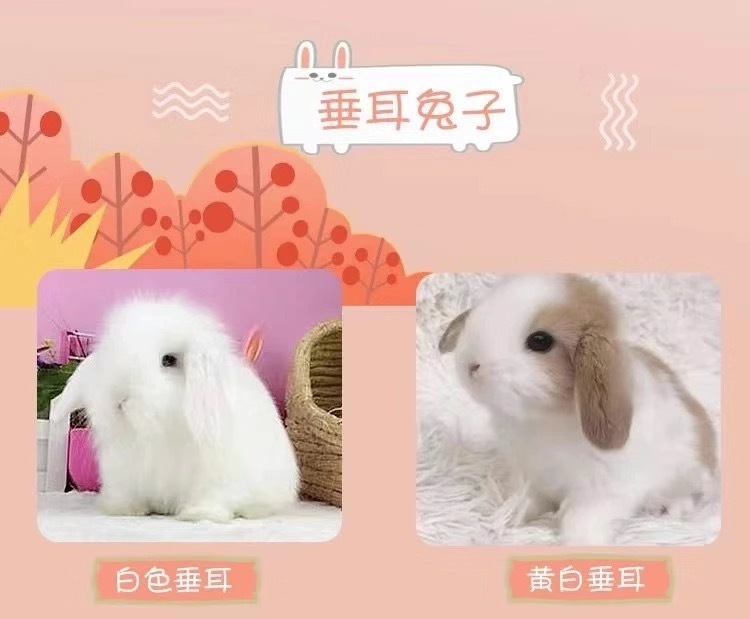 73b9ff9e-166f-4f57-9ad9-3fbf79fff2e8.jpe