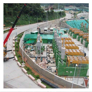 化肥厂沼气发电机脱硝 热电联联发电机脱硝  leegool 钒基分子筛 