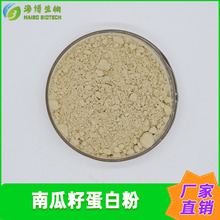 南瓜籽蛋白粉70% 南瓜籽提取物 海博供应 植物蛋白粉 现货包邮