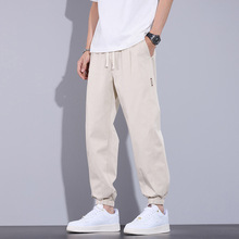 2025¿ϵeѝЌɰٴ_bѝ\Lѝӳ