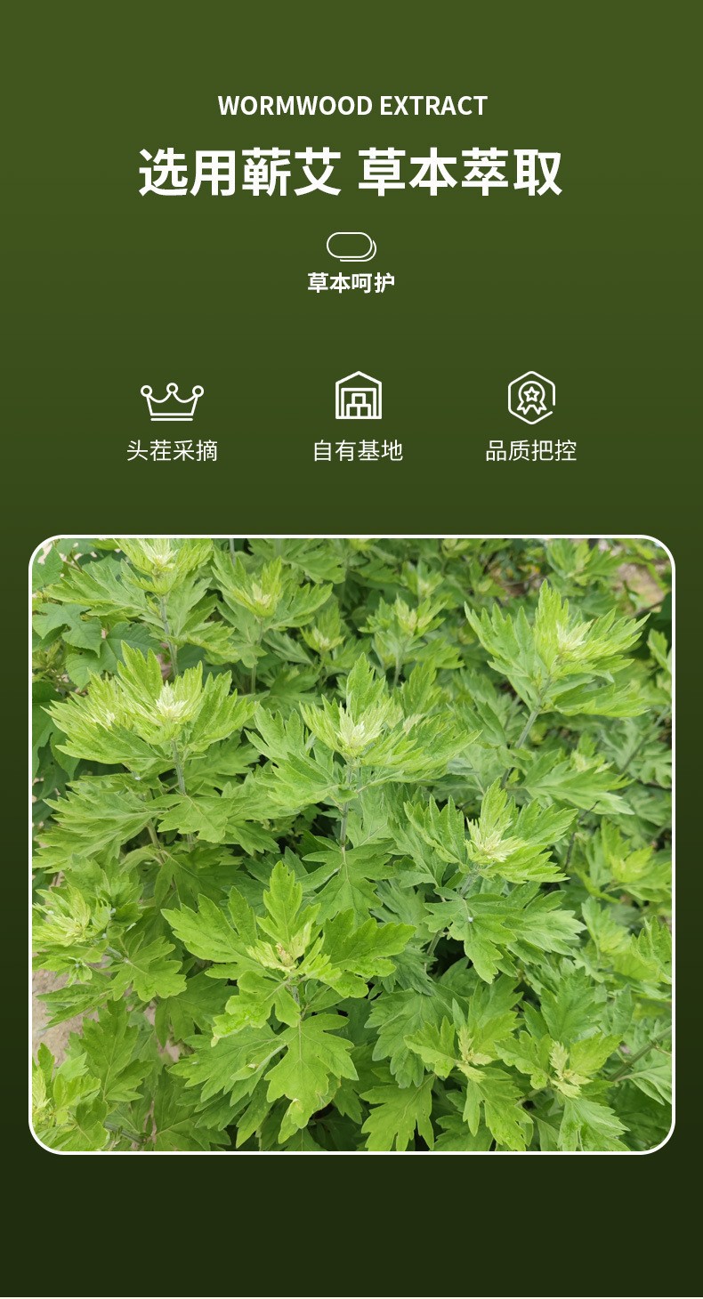 Self Heating Mugwort Foot Warmer Patch Warm Toe Foot Sole Patch 3 to 6 Hours specifications