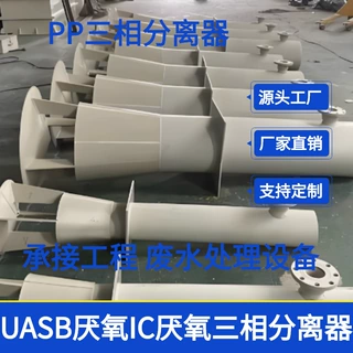 华北地区厌氧污水处理三相分离器 UASB IC EGSB 碳钢/PP工厂直供