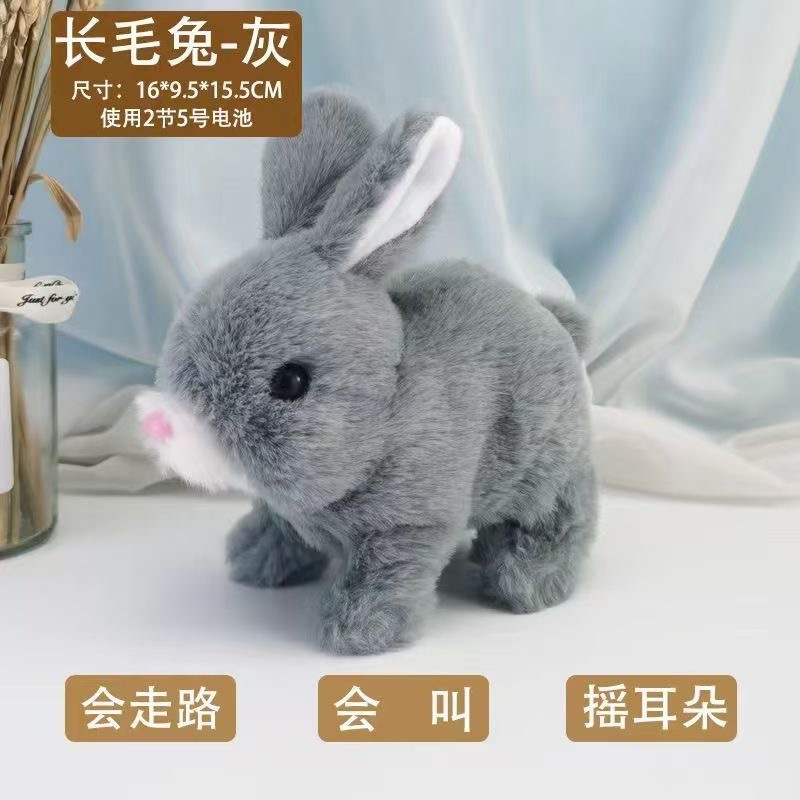Gray angora rabbit