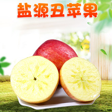 �����x���Ĵ����ɽ���O�� 5�����r��ժ�����ļt��ʿ�����ЋDˮ��