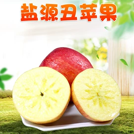 苹果;代用/养生茶;橙