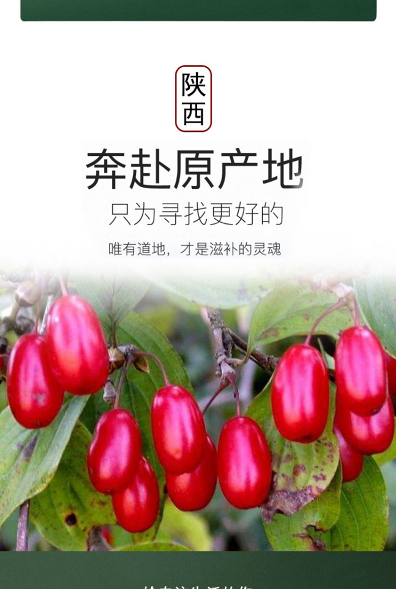 Cornus Fruit Shan Zhu Yu 山茱萸 Dried Herb 500g for Tea and Decoction key features