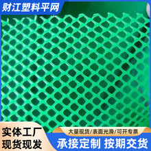 塑料平网养殖网小区高层阳台网格防护网养鸡鸭育雏围栏网pe户外