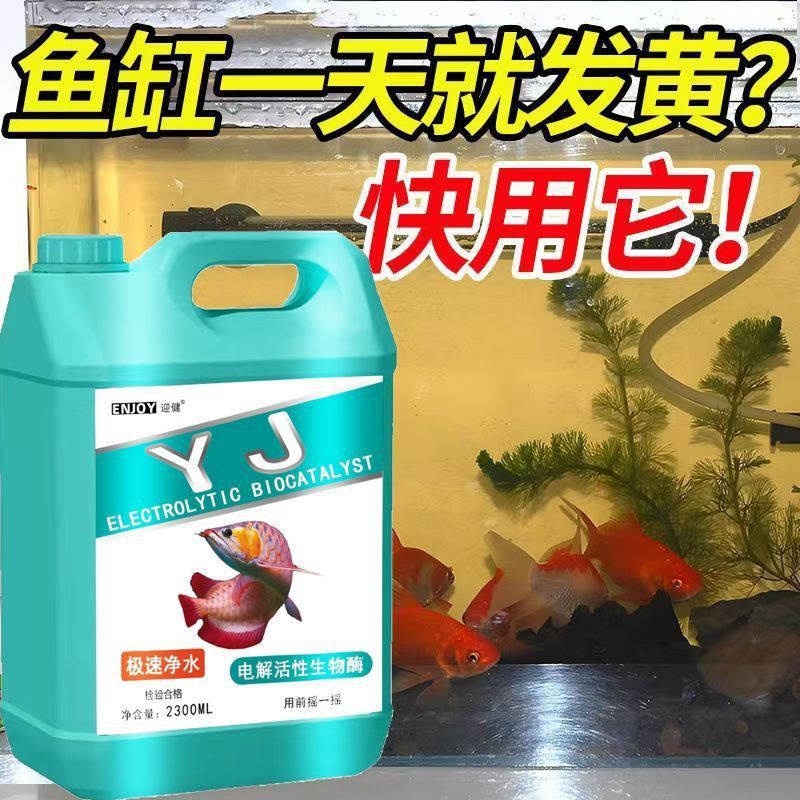 电解活性生物酶硝化细菌水质稳定剂净水空气缸分解氨氮电解生物酶|undefined