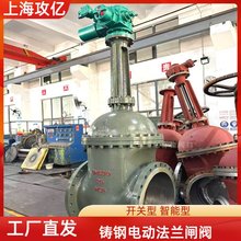 늄ӷmUly Z941H-25C DN500͸ߜ ڏ_P