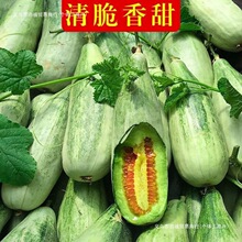 �������ϬFժ�F�l���r�ЋDˮ�������۹ϴ����ϳ������������