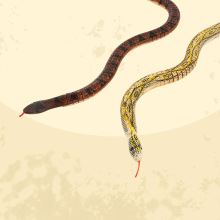 ����ľ�Ƅ�����ģ��������߈A�^��ľ�|��ˇƷ��ҹ�еؔ����u���l