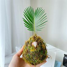 �F�䌚��һ���L�̦�\���k���҃����ϲ�����ԾGֲ�͏d�����՚�