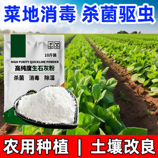 Quicklime Powder Insecticide and Vegetable Planting 5kg Disinfection, Sterilization, Moisture-Proof, Dehumidification, Water Purification, Deodorization, Tree White Wall Desiccant