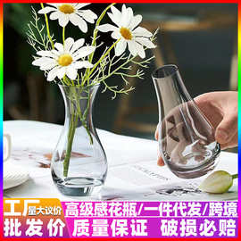 简约小清新玻璃花瓶ins风高颜值水培插花客厅桌面创意装饰摆件器