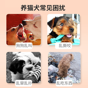 Dog beating dog stick pet love clap dog training artifact whip dog training stick education dog beating stick training does not hurt dog supplies