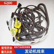 发动机线束G2J00-3823250D适用玉柴天然气发动机汽车配件原厂