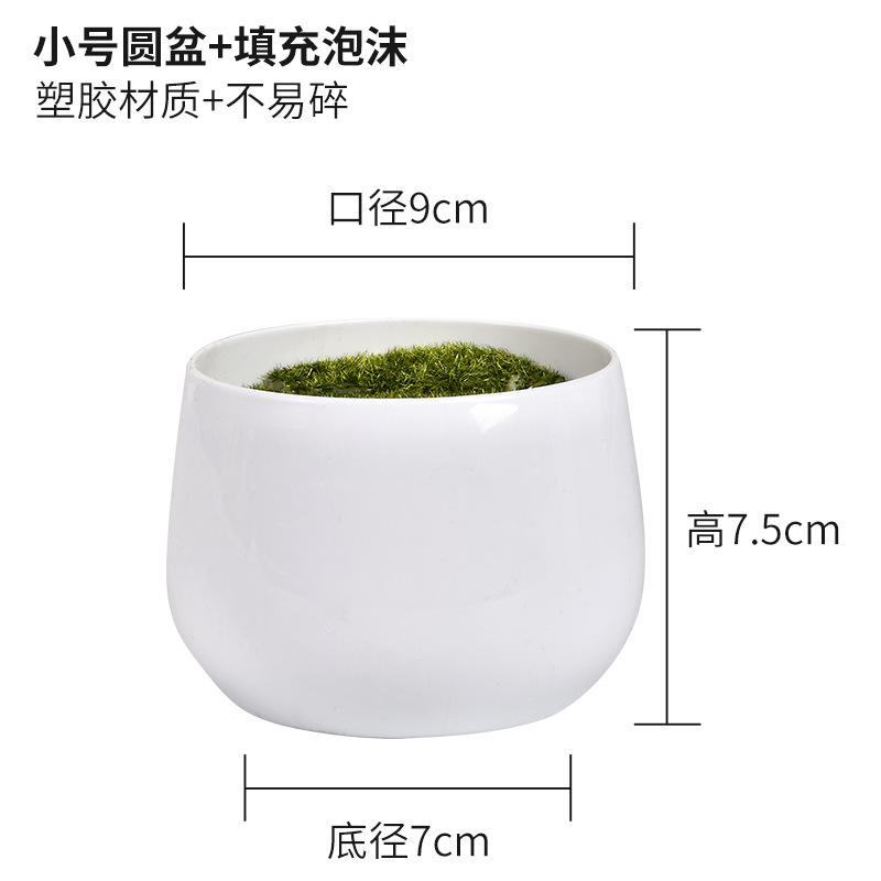 스몰 사이즈 둥근 분지 + 거품으로 채워진