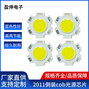 Factory direct supply 2011 flip COB light source downlight series