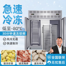 南下液氮速冻柜商用零下80度大容量预制菜肉类海鲜风冷速冻机商用