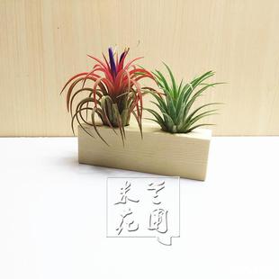 ���ُ�����������՚��P��֧�ܻ���ľ�庣đ�F�ܚ�����ľ��������