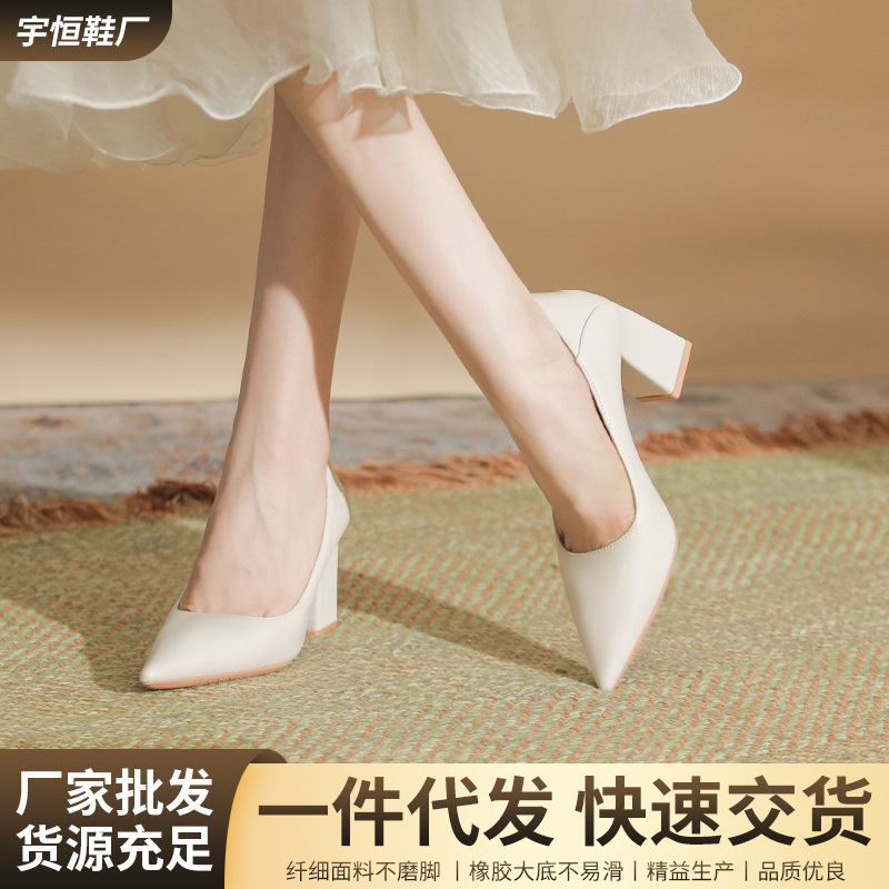 French-Style Light Luxury High-Heeled Shoes 2026 Spring and Autumn New Model, Comfortable Work Shoes with Chunky Heels, Versatile and Stylish Single Shoes