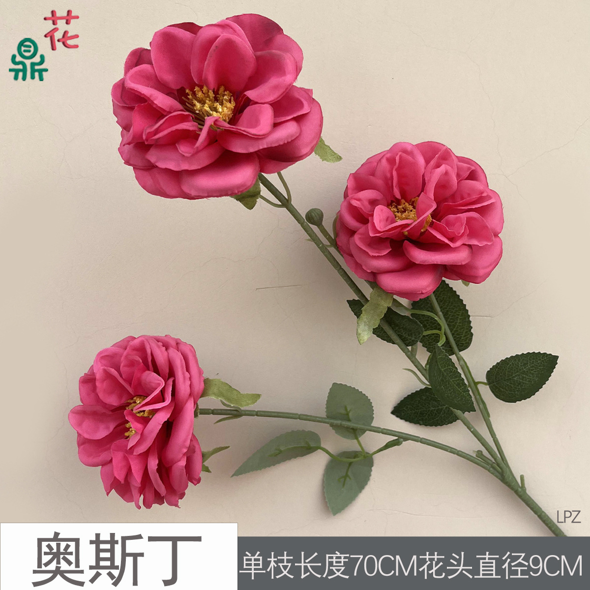 오스틴 LPZ 로즈 레드
