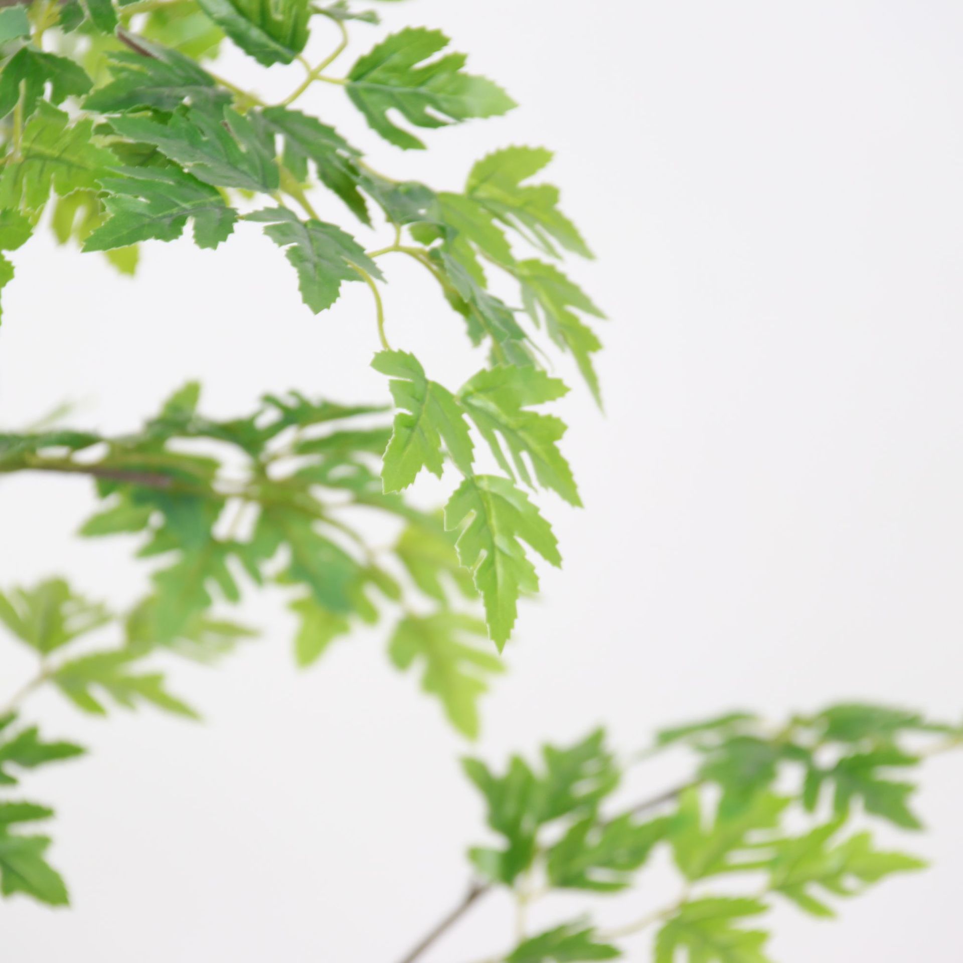 Simulación de estilo nórdico, plantas verdes, álamos, árboles falsos, plantas en macetas, decoración de suelo para el hogar interior, decoración, paisajismo de plantas biónicas