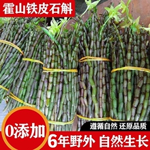 【新鲜营养】霍山直发六年新鲜霍山铁皮石斛鲜条正旗舰店