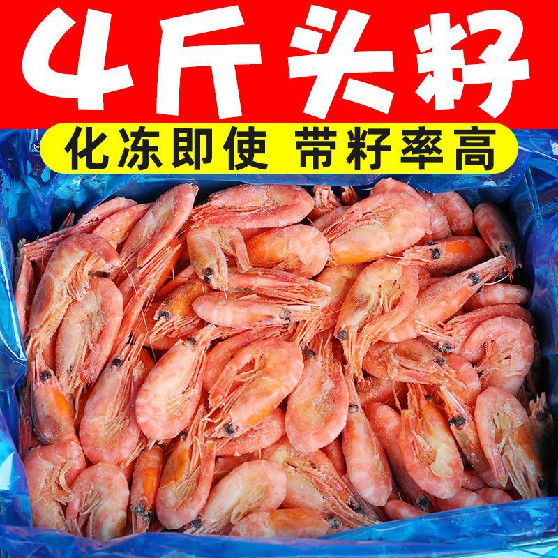 北极甜虾头腹籽带籽海虾元宝虾新鲜海鲜活虾冷冻食品批发北极熊