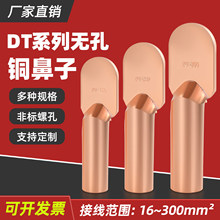 DT国标无孔无眼直板16-300平方堵油式非标螺丝孔铜鼻子接线端子