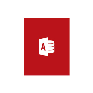 Microsoft Access Small Database Software Access LTSC 2021