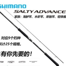 ���l�����ZSALTY ADVANCE ���|�Ͱ����F���ី�ľ�r��Ͷ��