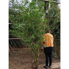 ��Т��ͥԺ������ �e���G��Т����� �Θ��@�G����Т���� �Pβ��