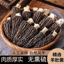 ���x�I�B���|��Ǿ��خa������؛�r���Ҝ�ʳ�ĸ�Ʒ�|�L�Ƀ��ɟo��