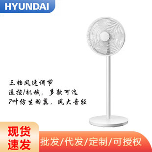 HYUNDAI/�F����L��FS-3001BR����ȼ����p�����L�����FS2501BR